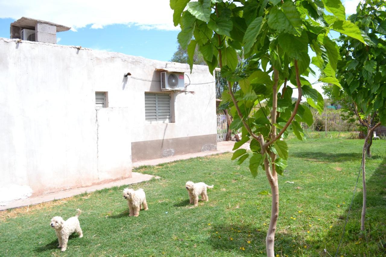 Hospedaje Las Termas 菲安巴拉 外观 照片